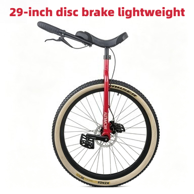 Monocycle de route 29 pouces a - Cycling Commute Distance avis et prix