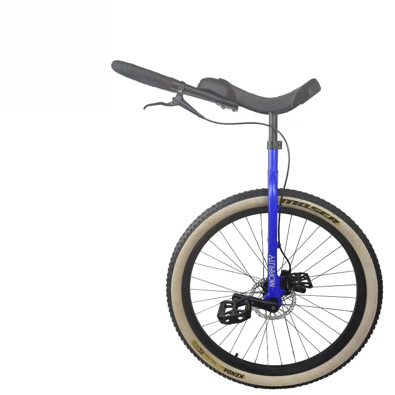 Monocycle de route 29 pouces a - Cycling Commute Distance avis et prix